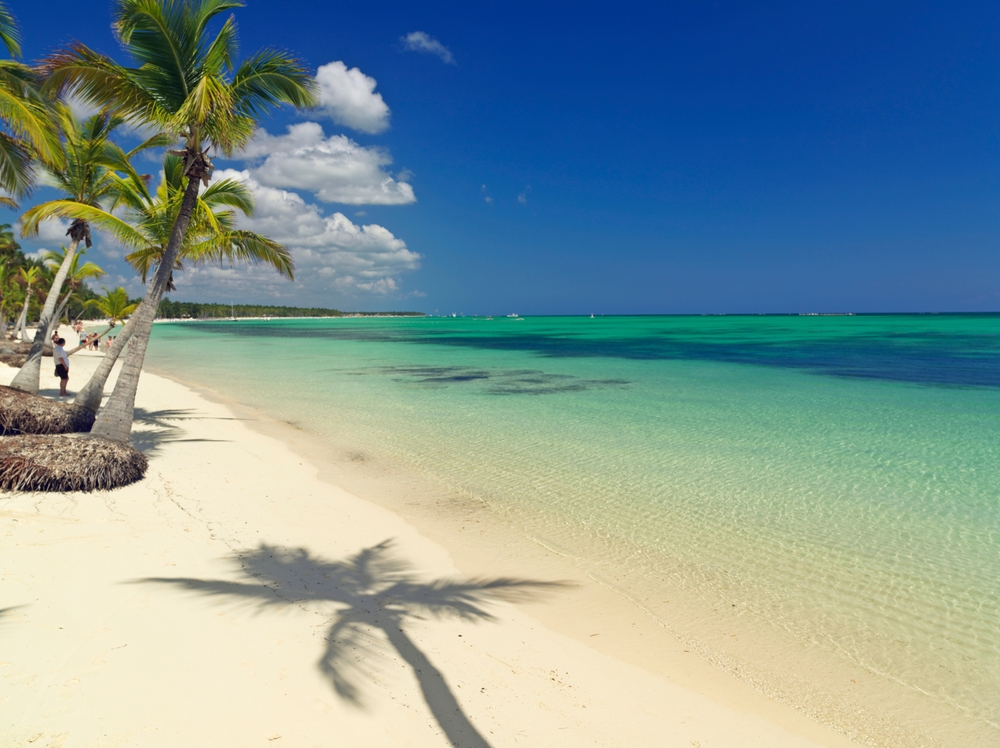 Cień palmy na białej piaszczystej plaży, plaża Bavaro, Punta Cana, Dominikana, Indie Zachodnie, Karaiby, Ameryka Środkowa