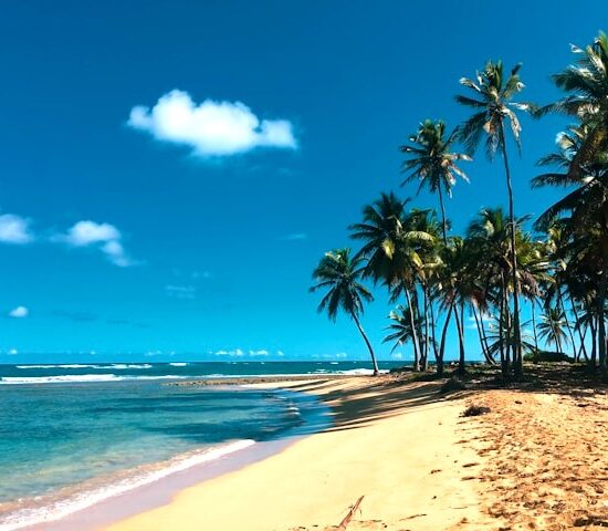 Dominikana przewodnik